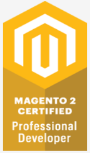 Magento 2 - Professional Developer