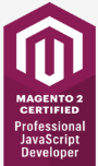 Magento 2 - Professional JavaScript Developer